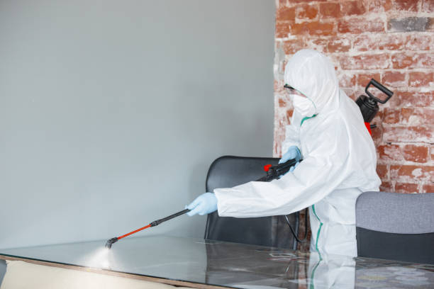 Trusted Austell, GA Mold Removal Experts